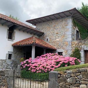 El Jardin de las Magnolias Hotel